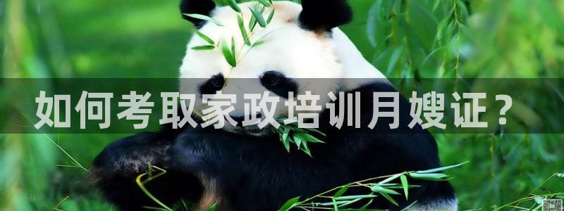 杏悦娱乐怎么玩