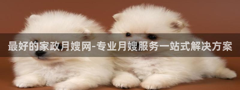 杏悦平台招商怎么样