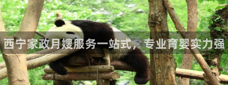 杏悦官方平台官网