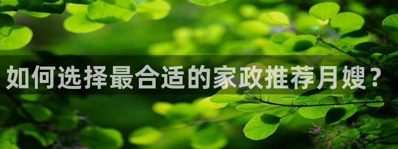 杏悦主管