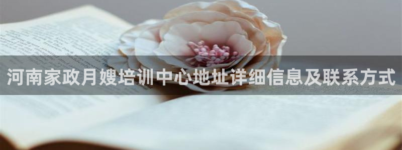 杏悦平台代理注册多少钱