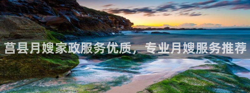 杏悦平台官网注册
