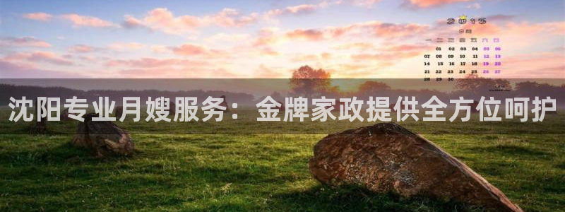 杏悦平台登录网址查询