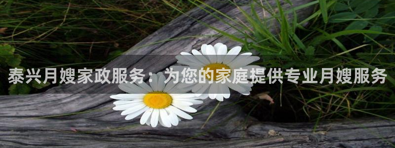 杏悦是什么平台