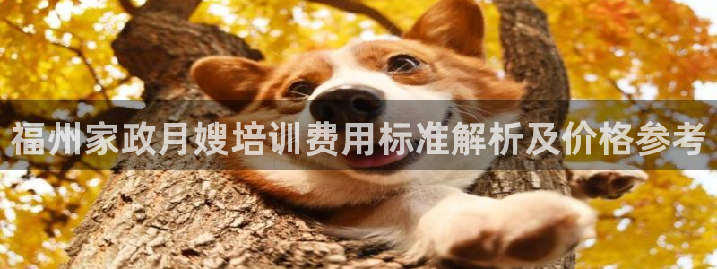 杏悦平台招商电话