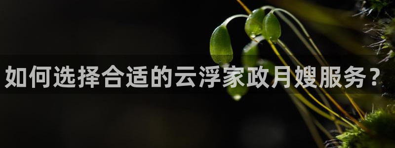 杏悦娱乐注册平台怎么样