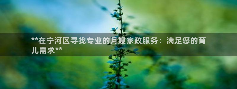 杏悦平台代理怎么样啊
