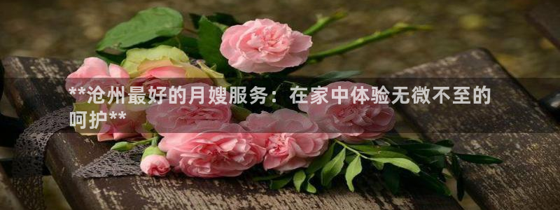 杏悦平台登录地址