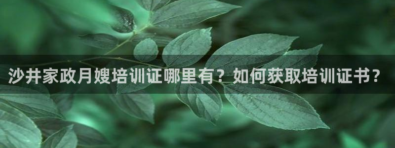 杏悦平台地址