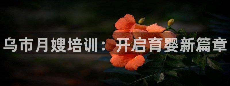 杏悦娱乐注册平台官网