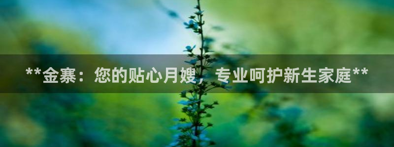 杏悦娱乐注册平台有哪些