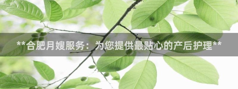 杏悦平台代理怎么样