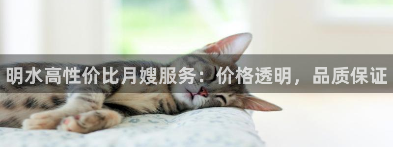 杏悦平台可靠吗可信吗安全吗
