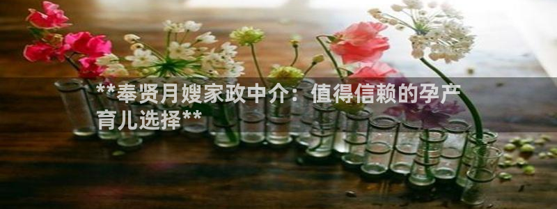 杏悦官网客服