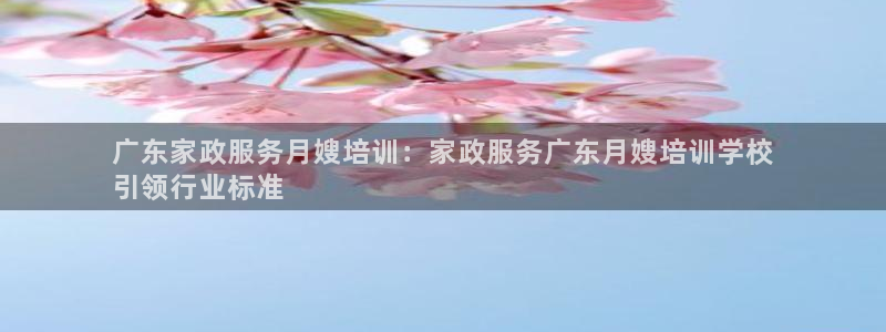 杏悦娱乐是什么