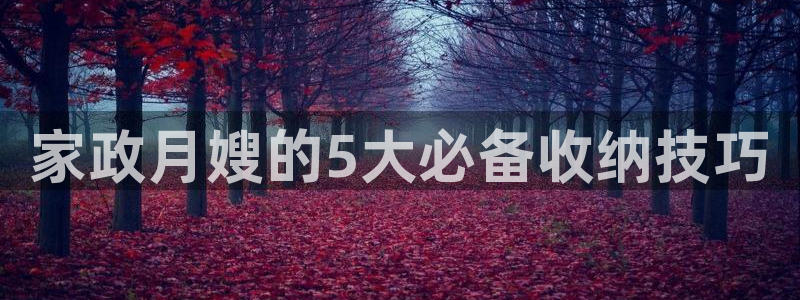 杏悦平台招商怎么样
