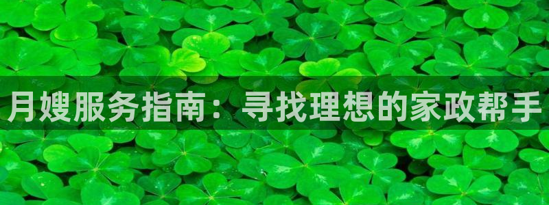 杏悦平台代理怎么赚钱的