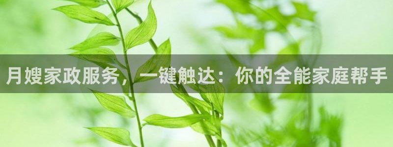 杏悦靠谱吗