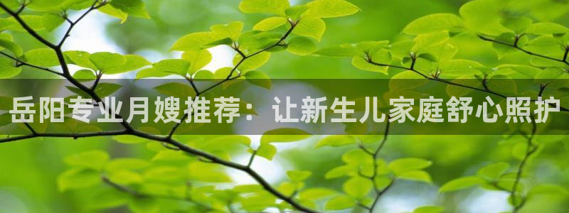 杏悦平台代理注册