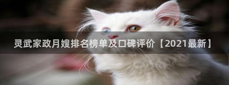 杏悦平台招商