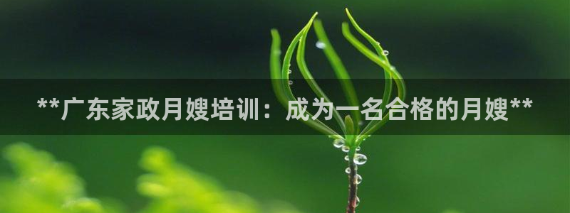 杏悦平台登录入口官网