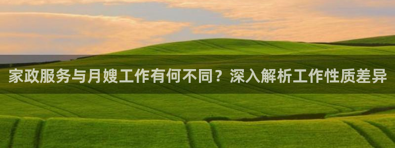 杏悦是什么平台
